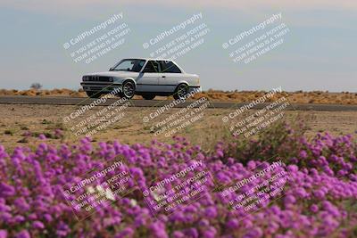 media/Jan-08-2023-SCCA SD (Sun) [[8f6a5b9391]]/Intermediate Group/Session 2 (Short Straight)/